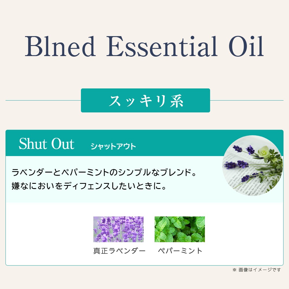 （1-3営業日発送）「国内正規品」PRADA BEAUTY　プラダ ビューティ　インフュージョン　ドゥ　プラダ　イリス　キャンドル　165g／フレグランスキャンドル