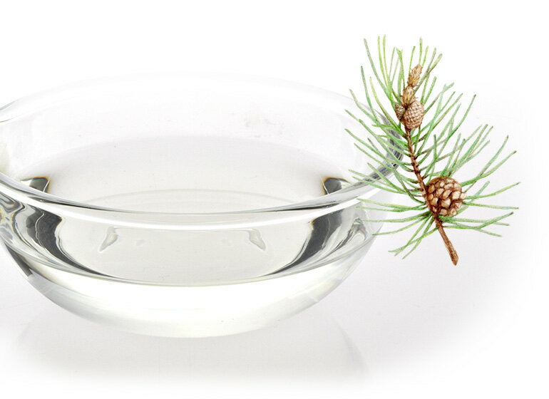 3個セット Rudy ルディ ル・マヨルカ フレッシュハンドミスト 50mL リヴィエラ ハンド＆マスクミスト