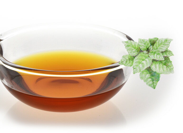 アロマオイル パチュリ 10ml エッセンシャルオイル 【 AEAJ認定表示基準認定精油 精油 NAGOMI PURE 】