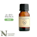 アロマオイル ユーカリ・グロブルス 10ml エッセンシャルオイル 