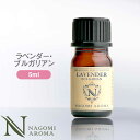 アロマオイル ラベンダー ブルガリアン エッセンシャルオイル 5ml 【 真正ラベンダー AEAJ認定 精油 アロマ NAGOMI PURE ラベンダーオイル CONVOILs 】