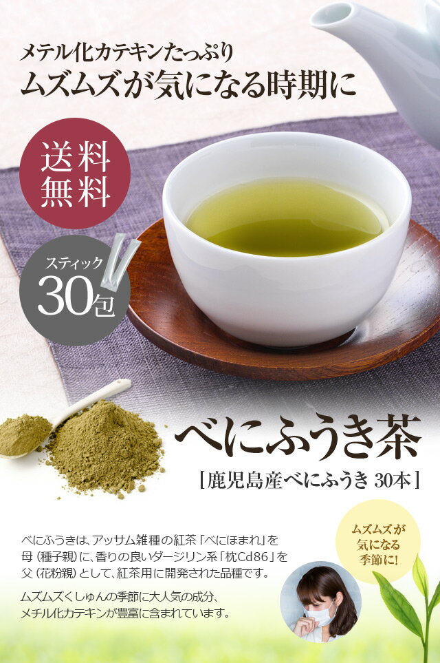 べにふうき茶 粉末 パウダー スティック 30本 国産 m3 【送料無料】 【 粉末緑茶 粉末茶 鹿児島県産 花粉の季節に 紅富貴 メチル化カテキン 】