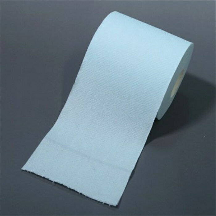 販促用 贈答用 粗品 景品 トイレットペーパー 林製紙 心ばかりの品ですが ダブル30m 個包装100個