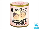 販促用 贈答用 粗品 景品 トイレットペーパー 林製紙 いつまでもお元気でロール ダブル30m 個包装100個