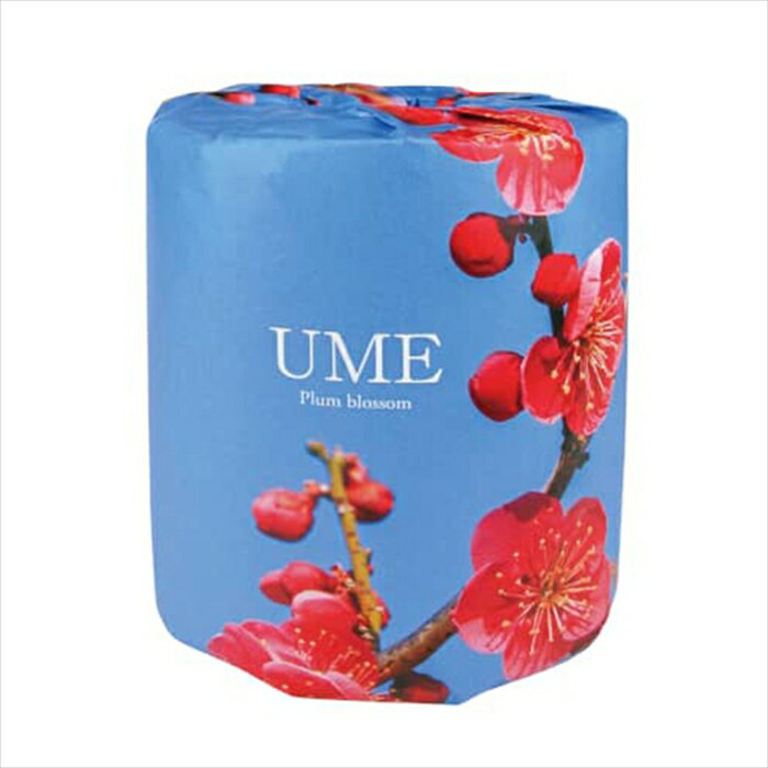 販促用 贈答用 粗品 景品 トイレットペーパー 林製紙 梅ロール ダブル30m 個包装100個