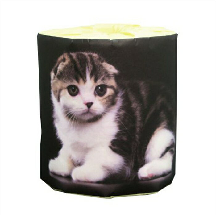販促用 贈答用 粗品 景品 トイレットペーパー 林製紙 仔猫 5種類アソート ダブル30m 個包装100個
