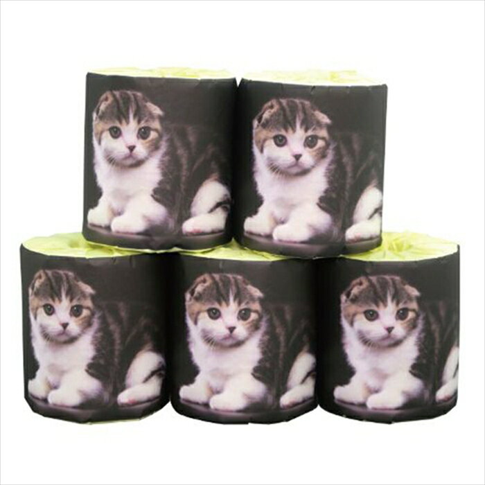 販促用 贈答用 粗品 景品 トイレットペーパー 林製紙 仔猫 スコティッシュ ダブル30m 個包装50個