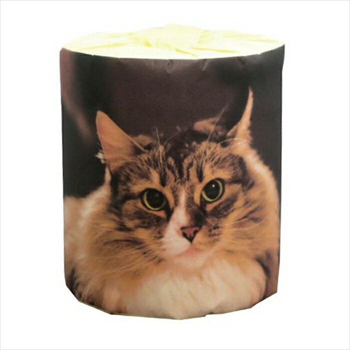 販促用 贈答用 粗品 景品 トイレットペーパー 林製紙 仔猫 ノルウェージャン ダブ...