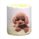 販促用トイレットペーパー 仔犬 トイプードル ダブル30m 個包装50個