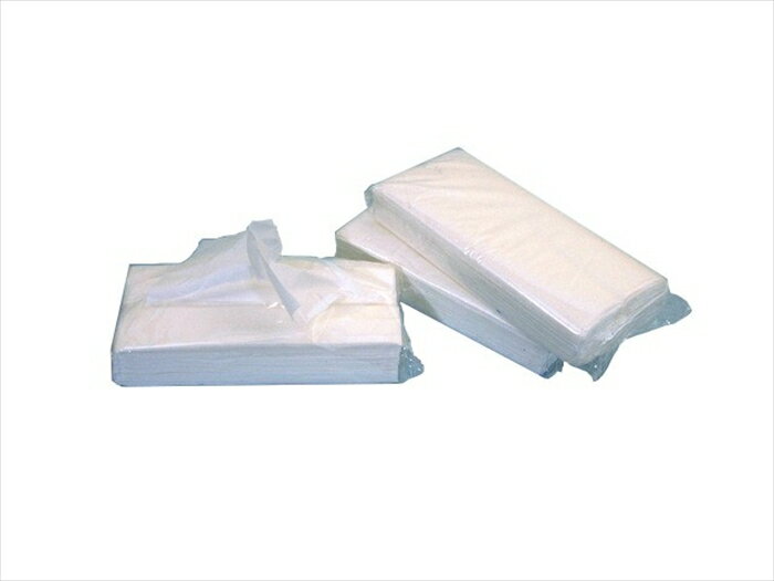 詰め替え用ティッシュ L判サイズ100W 100パック