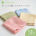 TAKEFU タオルハンカチ 選べる 2枚セット エコ染料染め 竹布 たけふ 敏感肌 無農薬 抗菌 オーガニック 肌にやさしい 天然繊維 母の日 誕生日 ギフト プレゼント プチギフト