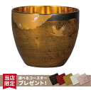 【本日 P3倍+まとめ割クーポン最大15%】山中漆器 漆磨二重ぐい呑み かがやき 白檀 黒(お中元2 金沢箔 工芸品 おしゃれ ステンレス 漆 日本製 名入れ 日本製 ギフト 海外発送可 贈呈 カップ 引き出物 景品)