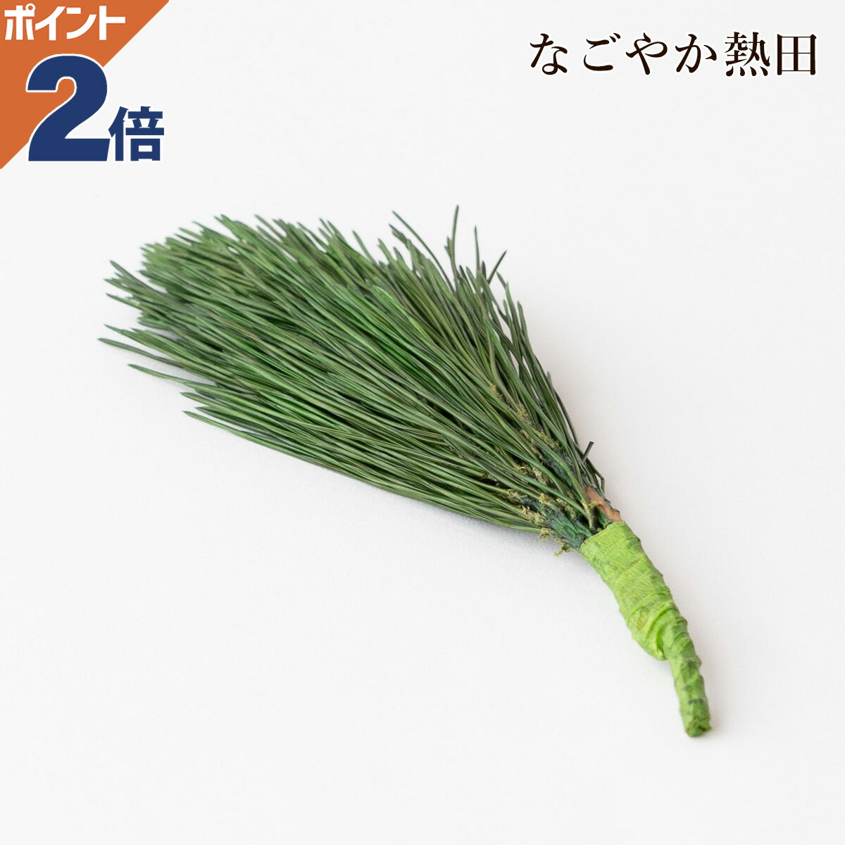 プリザーブド 荒神松 関東型 本物を加工 天然 二葉松 上品 24センチ 本格的 荒神 松 飾り 枯れない プ..