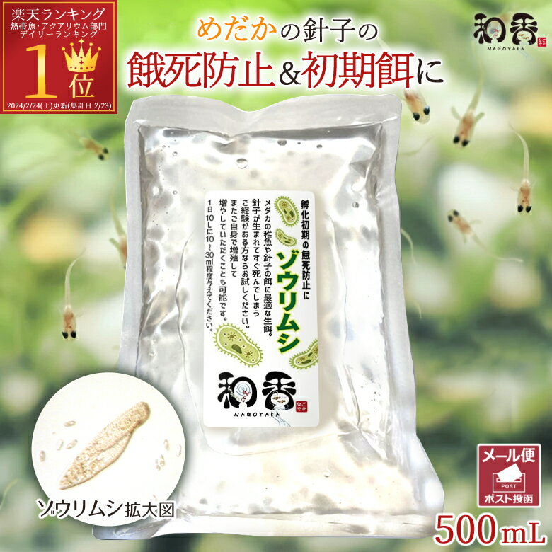 （生餌）オオミジンコ入り飼育水（500ml）　活餌　北海道・九州航空便要保温