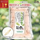 【送料無料】メダカ 餌【ミジンコ】高品質タマミジンコ　めだか 生体 活餌 生き餌 色揚げ ゾウリムシ PSBと同梱可能 生クロレラで培養可能