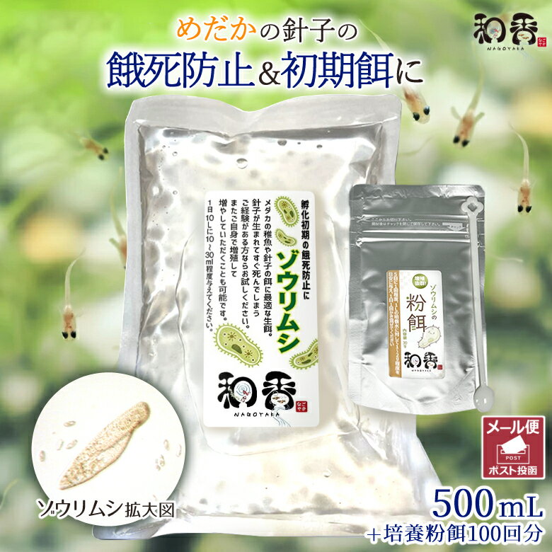 ゾウリムシ 600ml 送料無料 針子から稚魚に最適 12時までの注文でその日に発送 生存率が違う メダカ エサ インフゾリア メダカのエサ めだかの餌 培養説明書付き 培養液付き