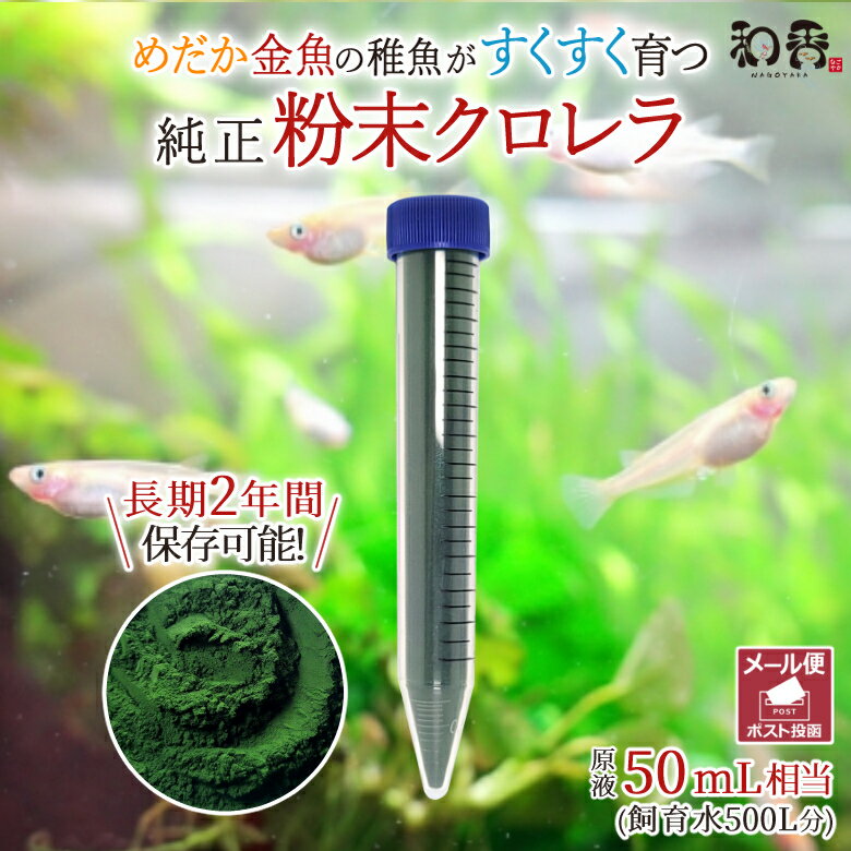 クロレラ 粉末 和香 送料無料 特選粉末 生クロレラ 原液50ml相当 粉末15ml 金魚 メダカ 針子稚魚 ミジンコ ワムシ 餌 えさサプリ グリーンウォーター 濃縮 ゾウリムシ 培養 めだか 熱帯魚 淡水…