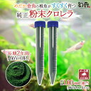 咲ひかり金魚 稚魚用 緩慢沈下 100g 　送料込み！