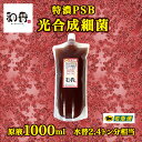 和香 PSB 水質改善 越冬 特濃PSB光合成細菌バクテリア1000ml （水替2.4トン分相当） 詳細な動画説明書付 観賞魚 めだか らんちゅう 金魚 熱帯魚の免疫力強化 ミジンコ ゾウリムシ 微生物 培養促進 生物濾過 有害有機物質の分解 濃縮 ろ過バクテリア 飼育水 培養液 増やせる