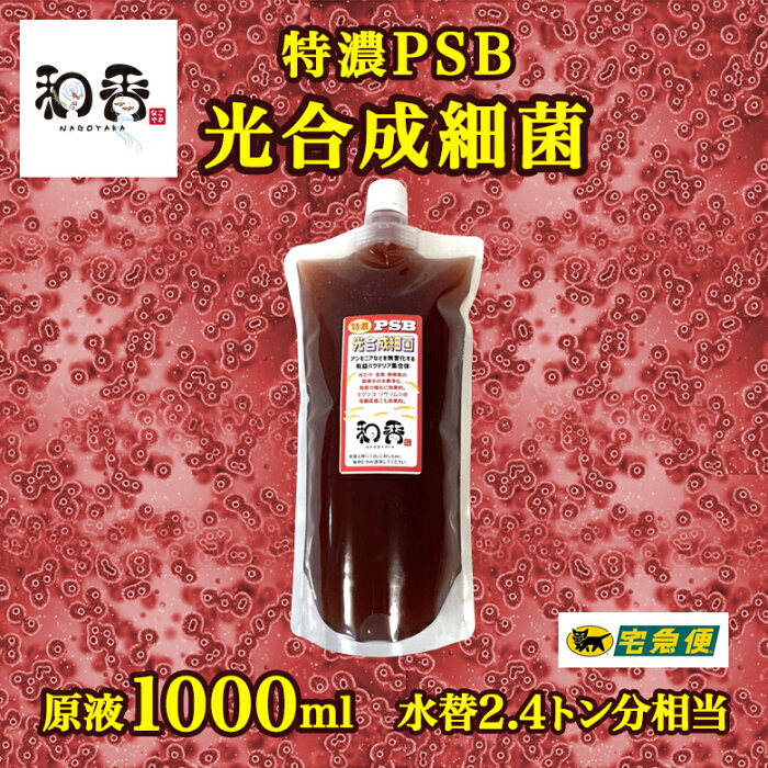 和香 PSB 水質改善 越冬 特濃PSB光合成細菌バクテリア1000ml （水替2.4トン分相当） 観賞魚 めだか らんちゅう 金魚 熱帯魚の免疫力強化 ミジンコ ゾウリムシ 微生物 培養促進 生物濾過 有害有機物質の分解 濃縮 ろ過バクテリア 飼育水 培養液