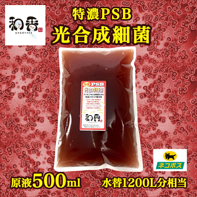 無条件特別価格 2023激安通販 PSB光合成細菌50L培養SET メダカ 特濃