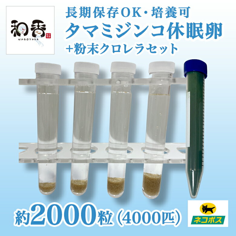 【タマミジンコ】 タマミジンコ は0.5〜1ミリ程度まで成長する小型のミジンコで、栄養価が高くめだか、らんちゅう、グッピー、ベタなど多くの観賞魚に最適な生餌です。 特に繁殖期の栄養補給に人気が高い生餌となります。水温、日照、エサ、増殖サイクルを正しく管理できれば誰でも簡単に増殖できます。 休眠卵のため、成体のような水質による水合わせに失敗することも少なく管理が比較的楽で初心者に向いています。 また、成体購入時の他の微生物の混入もなく純粋にタマミジンコを培養できます。 初心者の方も説明書がございますのでご安心ください。 【休眠卵の孵化方法】 ・市販の天然水またはカルキ抜きした水道水を用意します。 ・休眠卵が動かない程度の弱めでエアレーションをしてください。 ・温度は20〜25度を保ってください。 ・4日〜6日程度で卵が孵化します。 ・孵化率はおおよそ80%程度。 商品情報 名称 タマミジンコ休眠卵 原材料タマミジンコ休眠卵 粉末生クロレラ付 内容量タマミジンコ休眠卵2000粒+粉末生クロレラ濃縮原液 50ml相当（ミジンコ増殖用培養水50L分) 保存方法冷蔵保存 販売者和香愛知県名古屋市東区泉3−17−10泉ビル3F 関連キーワード ミジンコ タマミジンコ オオミジンコ めだか メダカ 金魚 稚魚 針子 成魚 餌 えさ エサ 生き餌 生餌 微生物 プランクトン 酵母 クロレラ 生クロレラ グリーンウォーター 原液 濃縮 ゾウリムシ ワムシ ミジンコ オオミジンコ タマミジンコ 培養 熱帯魚 淡水魚 海水魚 観賞魚 針子 稚魚 若魚 成魚 金魚 越冬 繁殖 繁殖期 餌 えさ エサ ブリーダー 熱帯魚ショップ 教育機関（中学 高校 大学の研究室）ビオトープ 水槽 アクアリウム 金魚 らんちゅう グッピー★販売前のためお急ぎの方はこちらからも購入いただけます★ 【商品内容】 ・タマミジンコ休眠卵 （1粒に2匹孵化します 孵化率80%） ・粉末生クロレラ濃縮原液 50ml相当（ミジンコ増殖用培養水50L分) ・ミジンコ休眠卵の孵化説明書 ※休眠卵を冷蔵保存したものです。乾燥卵ではございません。冷蔵保存にて1年ほど保存可能です。 この他の数量は1000粒/3000粒/5000粒をご用意しております。 ★販売前のためお急ぎの方はこちらからも購入いただけます★