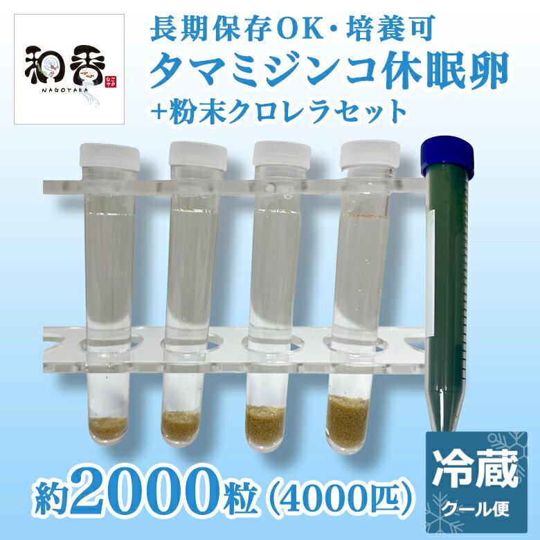 【タマミジンコ】 タマミジンコ は0.5〜1ミリ程度まで成長する小型のミジンコで、栄養価が高くめだか、らんちゅう、グッピー、ベタなど多くの観賞魚に最適な生餌です。 特に繁殖期の栄養補給に人気が高い生餌となります。水温、日照、エサ、増殖サイクルを正しく管理できれば誰でも簡単に増殖できます。 休眠卵のため、成体のような水質による水合わせに失敗することも少なく管理が比較的楽で初心者に向いています。 また、成体購入時の他の微生物の混入もなく純粋にタマミジンコを培養できます。 初心者の方も説明書がございますのでご安心ください。 【休眠卵の孵化方法】 ・市販の天然水またはカルキ抜きした水道水を用意します。 ・休眠卵が動かない程度の弱めでエアレーションをしてください。 ・温度は20〜25度を保ってください。 ・4日〜6日程度で卵が孵化します。 ・孵化率はおおよそ80%程度。 商品情報 名称 タマミジンコ休眠卵 原材料タマミジンコ休眠卵 粉末生クロレラ付 内容量タマミジンコ休眠卵2000粒+粉末生クロレラ濃縮原液 50ml相当（ミジンコ増殖用培養水50L分) 保存方法冷蔵保存 販売者和香愛知県名古屋市東区泉3−17−10泉ビル3F 関連キーワード ミジンコ タマミジンコ オオミジンコ めだか メダカ 金魚 稚魚 針子 成魚 餌 えさ エサ 生き餌 生餌 微生物 プランクトン 酵母 クロレラ 生クロレラ グリーンウォーター 原液 濃縮 ゾウリムシ ワムシ ミジンコ オオミジンコ タマミジンコ 培養 熱帯魚 淡水魚 海水魚 観賞魚 針子 稚魚 若魚 成魚 金魚 越冬 繁殖 繁殖期 餌 えさ エサ ブリーダー 熱帯魚ショップ 教育機関（中学 高校 大学の研究室）ビオトープ 水槽 アクアリウム 金魚 らんちゅう グッピー【商品内容】 ・タマミジンコ休眠卵 （1粒に2匹孵化します 孵化率80%） ・粉末生クロレラ濃縮原液 50ml相当（ミジンコ増殖用培養水50L分) ・ミジンコ休眠卵の孵化説明書 ※休眠卵を冷蔵保存したものです。乾燥卵ではございません。冷蔵保存にて1年ほど保存可能です。 この他の数量は1000粒/3000粒/5000粒をご用意しております。 ★販売前のためお急ぎの方はこちらからも購入いただけます★