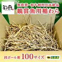 ★ポイント10倍★和香 稲わら 無農薬 観賞魚用 (段ボール箱100サイズ) めだかの越冬や納豆菌でミジンコ・ゾウリムシ・ミドリムシ培養に効果的 稲藁 ワラ PSB