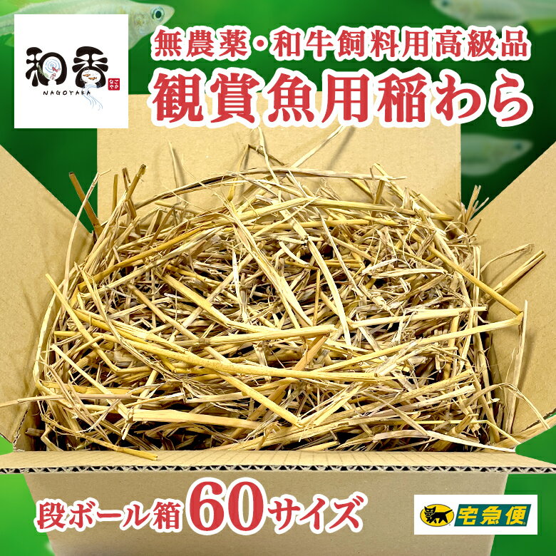 和香 稲わら 無農薬 観賞魚用 （段ボール箱60サイズ） めだかの越冬や納豆菌でミジンコ・ゾウリムシ・ミドリムシ培養に効果的 稲藁 ワラ PSB