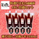 和香 PSB 簡単特濃培養 特濃PSB光合成細菌40L培養セット（種PSB4L 培養エキス400ml）動画説明書付 バクテリア 専用培養エキス めだか らんちゅう 金魚 熱帯魚などの免疫力強化にも期待できます PSB 光合成細菌 増やす 増やせる 培養