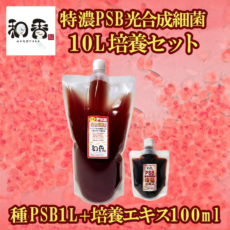 （生餌）ゾウリムシミックス　インフゾリア（500ml）　活餌　北海道・九州航空便要保温