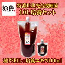 【SALE 10%OFF】 和香 PSB 簡単特濃培養 特濃PSB光合成細菌10L培養セット（種PSB1L+培基エキス100ml）動画説明書付 バクテリア 専用培養エキス めだか・らんちゅう・金魚・熱帯魚などの免疫力強化にも期待できます PSB 光合成細菌 増やす 増やせる 培養