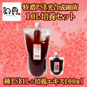 和香 PSB 簡単特濃培養 特濃PSB光合成細菌10L培養セット（種PSB1L+培養エキス100ml）動画説明書付 バクテリア 専用培養エキス めだか・らんちゅう・金魚・熱帯魚などの免疫力強化にも期待できます PSB 光合成細菌 増やす 増やせる 培養