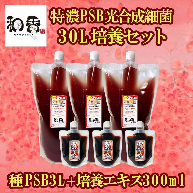 ★★PSB 光合成細菌 培養エキス ★★★ とにかく「観賞魚のための」「免疫力」「濃い」PSB光合成細菌をお探しなら和香の「特濃PSB光合成細菌」 水が白濁してしまったり、水質が悪化しやすく水替えの頻度の多さにお困りの方におすすめです。純粋な光合成細菌の生物濾過による効果を期待できます。 ★★本商品は、この和香の特濃PSBを自家培養するための種PSBと培養エキスのセット商品になります。★★ PSB光合成細菌を初めて利用する場合も安心してお試しいただけます。 本培養エキス1本とPSB光合成細菌1Lで10LのPSB光合成細菌を培養することができます。 【培養方法】 容器としてペットボトル(2Lで5本分)またはウォータータンク(10L用)を用意します。 光合成培養培基（黒い液体約100ml）を(1)で準備した容器入れます。（ペットボトル2Lの場合は5等分 約20mlして投入ください) 種用光合成細菌（赤い液体約1000ml）をご準備し投入してください。(ペットボトル2Lの場合は5等分（約200ml）をご準備し投入してください) 水道水を容器一杯に入れてください。(嫌気性のため空気が極力入らない量まで一杯に入れてください) 4-10月の間は屋外の直射日光に当たる場所においてください。 11-3月の間は室内で日の当たる場所や植物用ライトを照らしてください。 そのまま1週間〜2週間ほどたつと真っ赤になってきますので好みの濃さになるまで培養を続けてください。 ★★完成したPSB光合成細菌の利用目安・ご利用方法★★ 30cm水槽以下(10-20L） 飼育水の水替時5ml 毎日0.5ml 30-45cm水槽(20-40L） 飼育水の水替時13ml 毎日1ml 60cm水槽(60L） 飼育水の水替時25ml 毎日2ml 90cm水槽(180L） 飼育水の水替時75ml 毎日6ml 120cm水槽(240L） 飼育水の水替時100ml 毎日8ml ※上記は目安で水槽立ち上げ時などはより多めに入れていただくことで効果を早く感じられます。 ※毎日使用されるものですので、多めの量をお求めいただいておかれると安心です。・特濃PSB光合成細菌を10L培養用できるセットです ・混り気のない純正品のPSB光合成細菌を培養することができます ・専用の培基液で通常より濃く簡単にPSBが培養できます ・他サイトでは多くのリピーターに愛用されていますので是非お試しください ・培基液の単体販売も行っております ※PSBとは：水中に溶け込んだ有害有機物を分解するとされている、生きたバクテリアです。 生物濾過による水質浄化 めだか、金魚、熱帯魚、その他水生生物の飼育水の安全な生物濾過による水質浄化に効果的です。 魚の栄養源 飼育魚の体内に吸収されることにより病気への免疫力向上の効果が期待できます。 ※必須アミノ酸、核酸、ホルモン、ビタミン等を多く含んでいますので、魚のエラや皮膚から摂取・吸収され、魚の栄養源となります。 培養促進効果 ミジンコ、ゾウリムシの培養液にも培養促進効果が期待できます。 ※PSB（光合成細菌）は他の微生物のエサになるとされてます。その為、立ち上げ直後の水槽にPSBを入れることにより、PSBをエサにしてさまざまなバクテリアが発生するので、立ち上がりが早くなります。