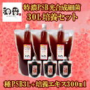 和香 PSB 簡単特濃培養 特濃PSB光合成細菌30L培養セット（種PSB3L+培養エキス300ml）動画説明書付 バクテリア 専用培養エキス めだか・らんちゅう・金魚・熱帯魚などの免疫力強化にも期待できます PSB 光合成細菌 増やす 増やせる 培養