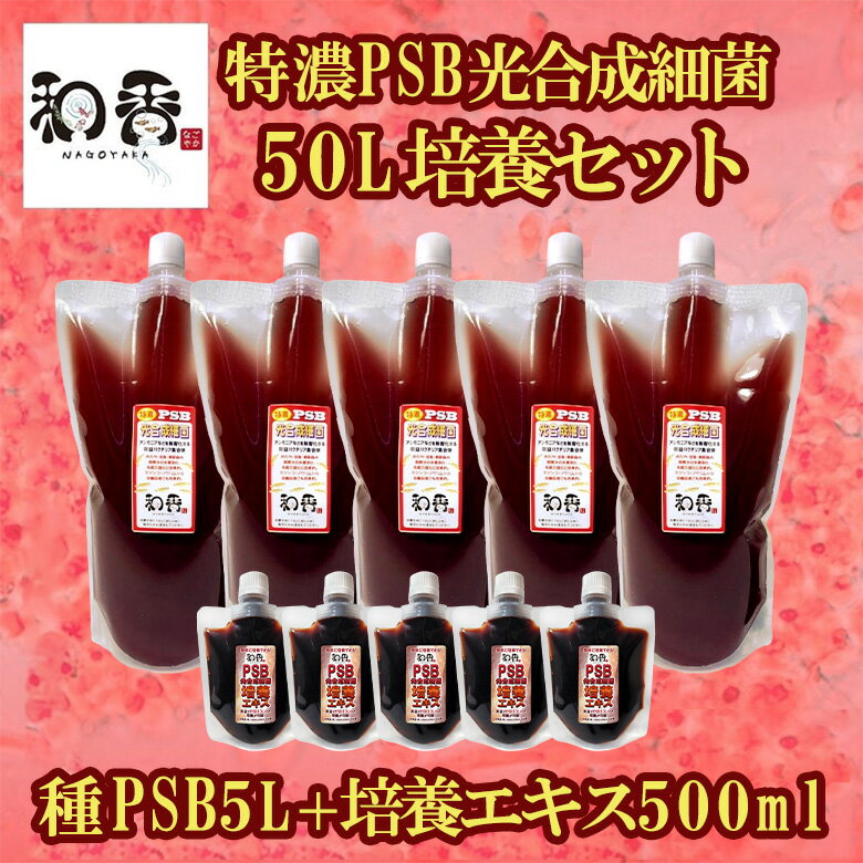 和香 PSB 簡単特濃培養 特濃PSB光合成細菌50L培養セット（種PSB5L+培養エキス500ml）動画説明書付 バクテリア 専用培養エキス めだか・らんちゅう・金魚・熱帯魚などの免疫力強化にも期待できます PSB 光合成細菌 増やす 増やせる 培養