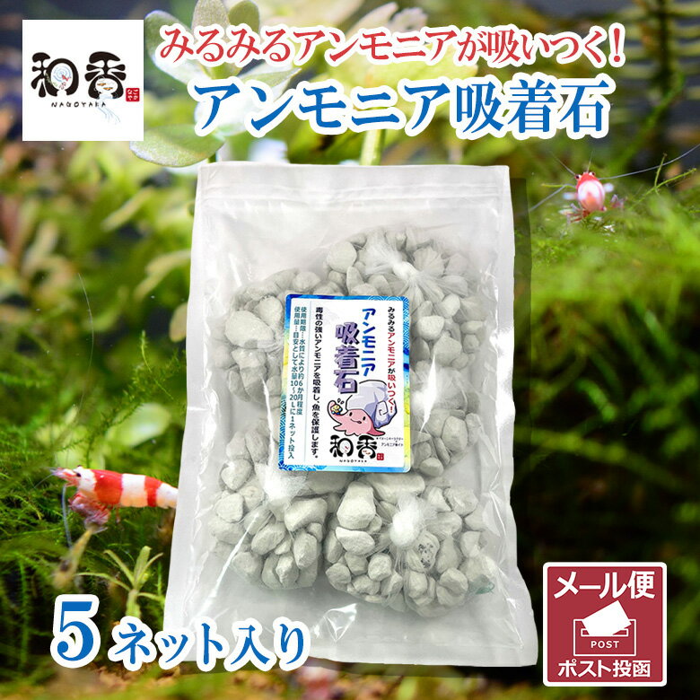 ★ポイント5倍★和香 アンモニア吸着石 5ネット入り 観賞魚用 水質改善 リン吸着 コケ予防 pH調整 国産 水質調整 水質浄化 飼育水 小魚 エビ 除菌済み 消毒済み メダカ めだか金魚 貝類 ろ過バクテリア 微生物 PSB クロレラ