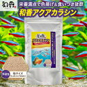 ★ポイント10倍★和香 アクアカラシン カラシン ネオンテトラ カージナルテトラ アカヒレ など 小型熱帯魚 の 餌 100g