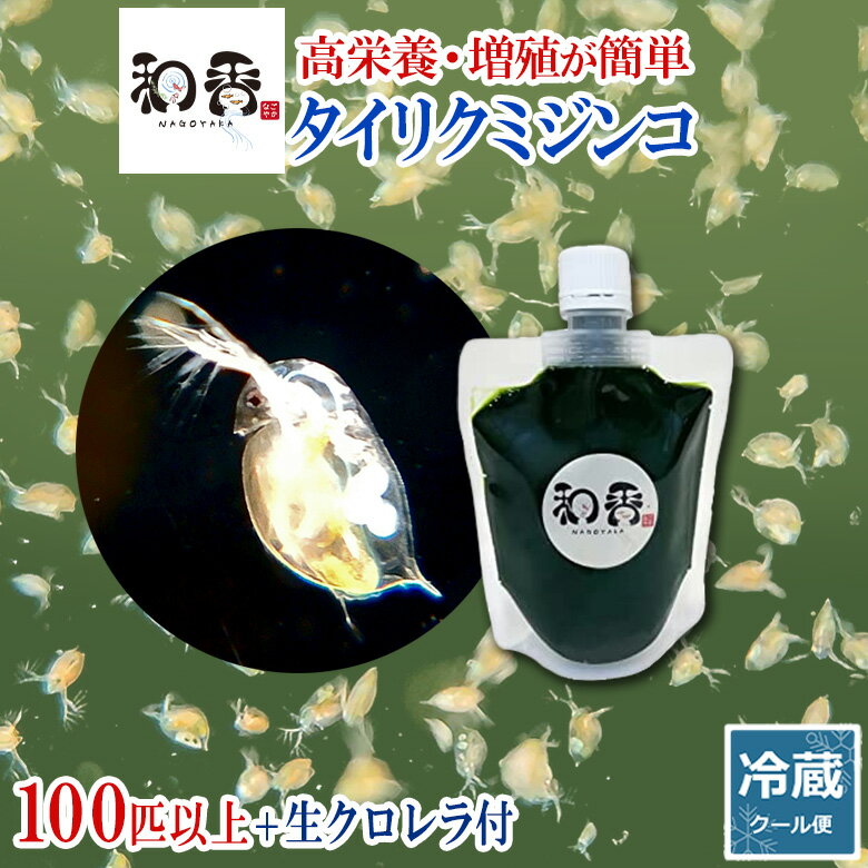 【送料無料】 ゾウリムシ めだか メダカ メダカの餌 針子 稚魚 餌 生き餌 エサ ぞうりむし ミジンコ みじんこ クロレラ めだか ヒメダカ 日の丸メダカ 即日発送 熱帯魚 アクアリウム メダカ生体 ゾウリムシ ミジンコ PSB オロチメダカ みゆきメダカ サファイアメダカ