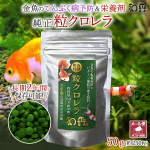 和香 クロレラ 錠剤 金魚 餌 送料無料 純正品 特選粒クロレラ 50g(約250粒) 転覆病 てんぷく バイオ メダカ 稚魚 エビ ビーシュリンプ 貝類 ミジンコ ワムシ えさ サプリ グリーンウォーター ゾウリムシ めだか 熱帯 淡水 海水 観賞魚 PSB