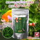 クロレラ 錠剤 金魚 餌 送料無料 純正品 和香 特選粒クロレラ 100g(約500粒) 転覆病 てんぷく バイオ メダカ 稚魚 エビ ビーシュリンプ 貝類 ミジンコ ワムシ えさ サプリ グリーンウォーター ゾウリムシ めだか 熱帯 淡水 海水 観賞魚 PSB