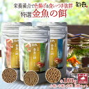 和香 金魚の餌 特選 金魚 餌 3種セット 各100g 沈降性 江戸錦 らんちゅう 熱帯魚 プレコ コリドラス 鯉 ビーシュリンプ エビ メダカ 愛魚に高品質の...