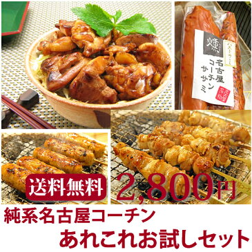 純系名古屋コーチン　あれこれお試しセット！地鶏　焼き鳥+つくね+丼+燻製　【送料無料】鶏肉 バーベキューセット BBQ 鳥焼き バーベキュー 肉 つまみ おつまみ 酒の肴 おつまみセット