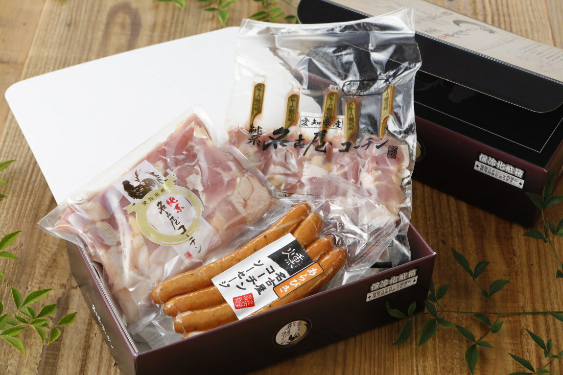 楽天純系名古屋コーチン工房 2号店【3-4人前】純系 名古屋コーチン BBQセット 冷凍 国産 高級 地鶏 焼き鳥セット バーベキュー キャンプ アウトドア もも むね つくね 鶏皮 鶏肉 お肉 やきとり たれ しお 業務用 大容量 送料無料 お取り寄せ ギフト