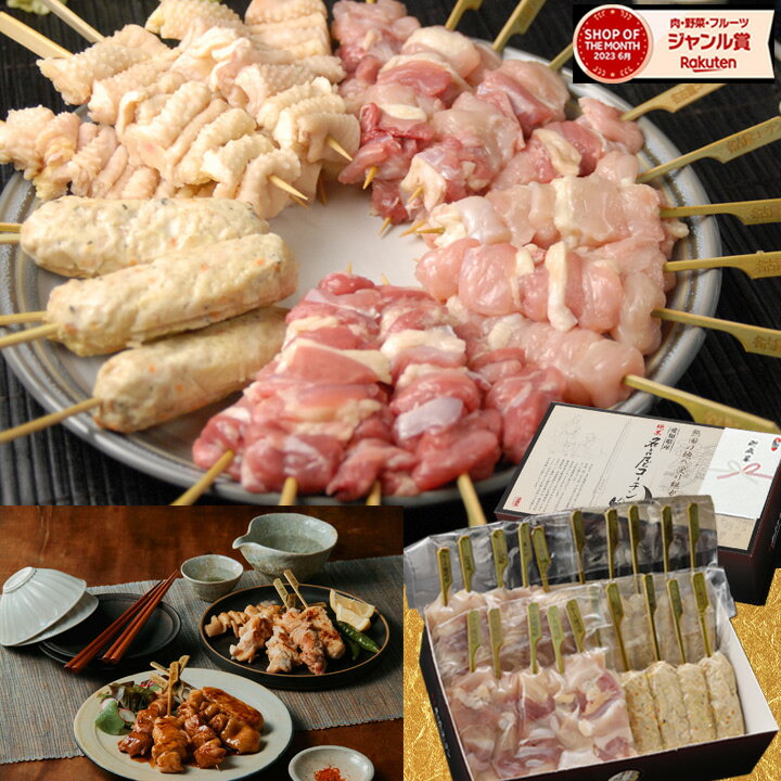 純系 名古屋コーチン 焼き鳥 ギフト ご堪能 セット 25本入り やきとり たれ 塩 もも むね つくね 皮串 冷凍 国産 高級 地鶏 鶏肉 BBQ お返し 熨斗 手提げ紙袋 内祝い お祝い 御祝 お礼 御礼 お取り寄せグルメ 送料無料