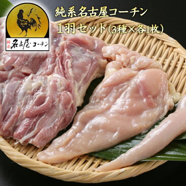 【生肉 鶏肉】純系 名古屋コーチン モモ ムネ ササミ 各1枚 ハーフセット 2〜3人用 朝引き 地鶏 冷蔵 焼き鳥 業務用 高純度 タンパク質 筋トレ バルクアップ