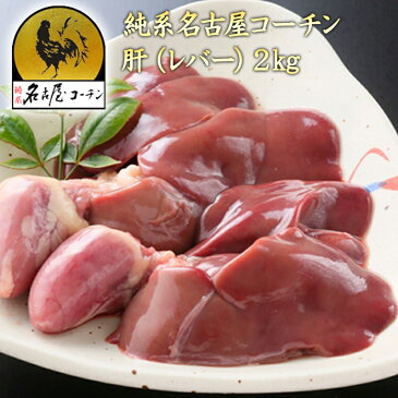 【生肉 鶏肉】純系 名古屋コーチン 肝（レバー） 2kg 朝引き 地鶏 冷蔵 極上 ホルモン 焼き鳥 業務用 鮮度