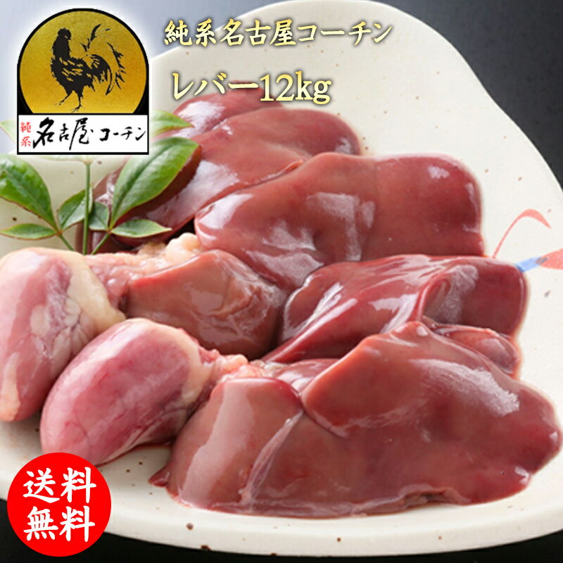 冷凍 純系名古屋コーチン　肝（レバー） 2kg×6パック 朝引き 地鶏 冷蔵 モモセット 焼き鳥 業務用