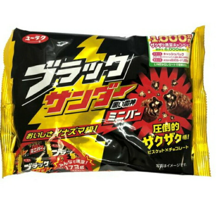 ͭ������ �֥�å���������ߥ˥С� 173g��6��