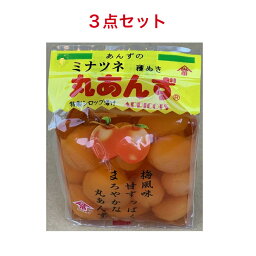 ミナツネ 種ぬき丸あんず 500g×3個